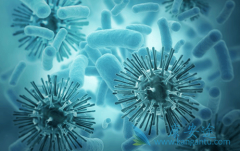 �Ⱦƻᵼ���Ѿ������ı��β������³�����