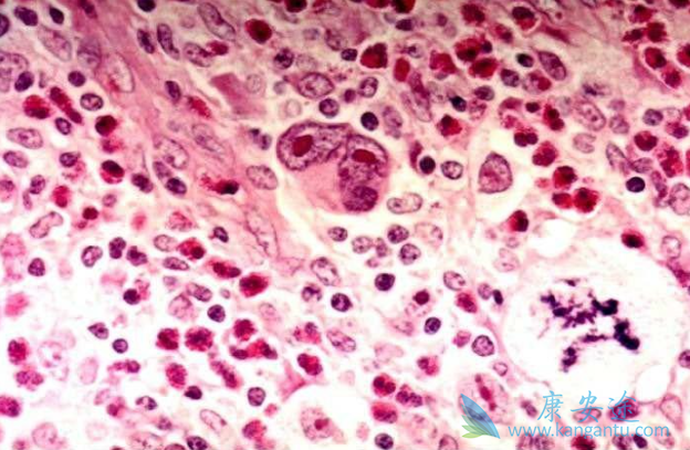 ������ܰ���