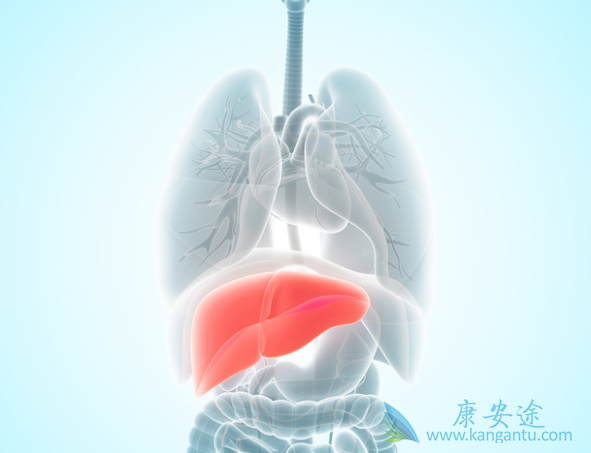 治疗丙肝 治疗丙肝