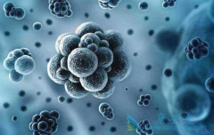 ����Ƿ��Ⱦ���β�����������Щ�����Ŀ��