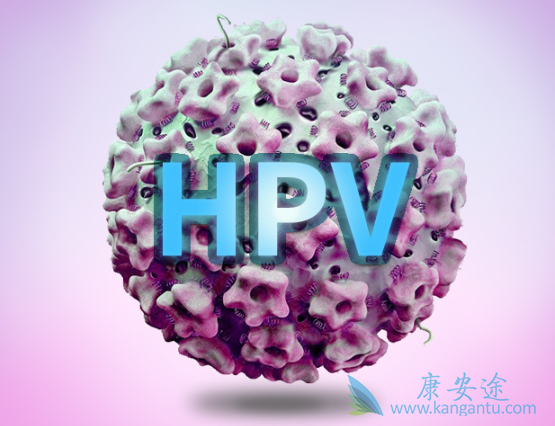 hpv病毒 hpv病毒