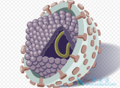 ���δ�Ⱦ�𣿱��β���������ʽ���Ҹ�һ����