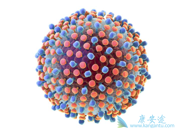 丙肝的传播途径 丙肝的传播途径