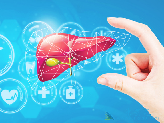 丙肝抗体 丙肝抗体