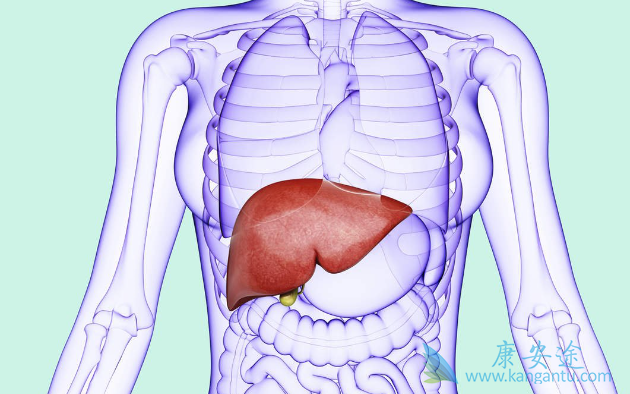 丙肝的治疗 丙肝的治疗