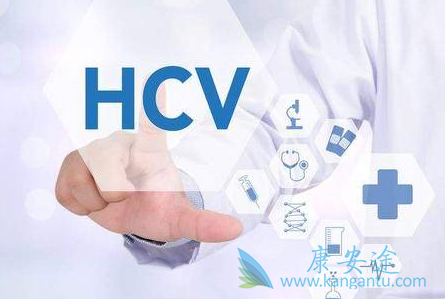 丙肝抗体 丙肝抗体