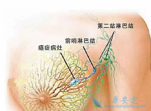 ���ٰ�����