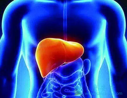 什么是丙肝 什么是丙肝