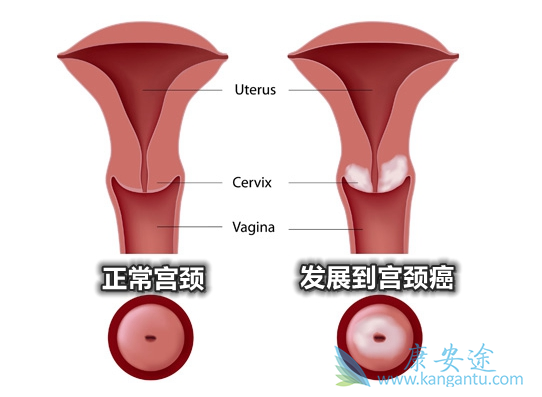 ��������ԭ��