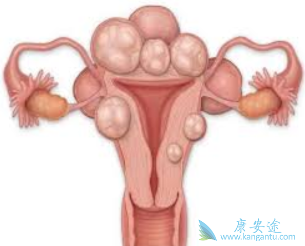 �����۰�