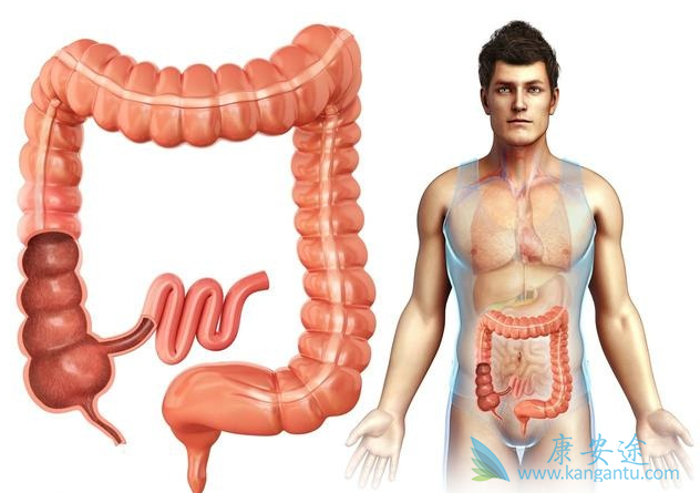 结肠癌的症状 结肠癌的症状
