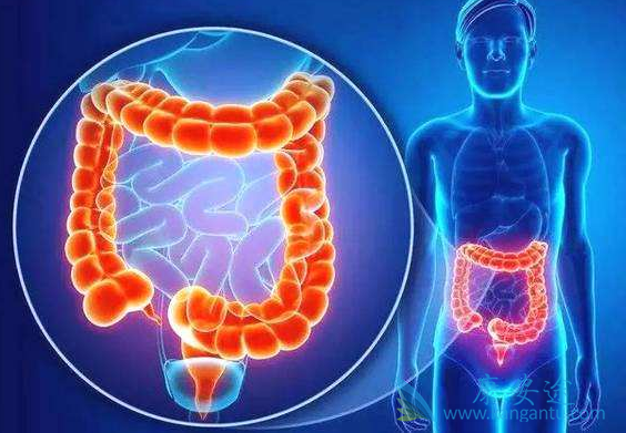 结肠癌的症状 结肠癌的症状