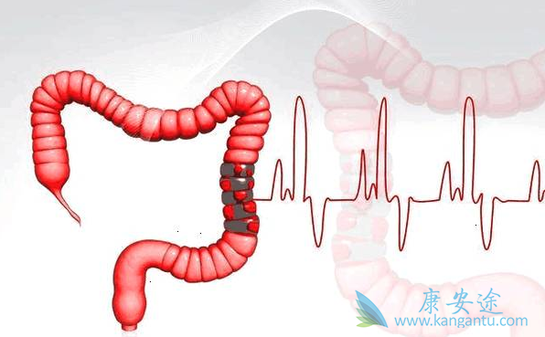 �᳦��������