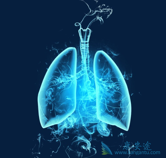 ����ά���ܻ���