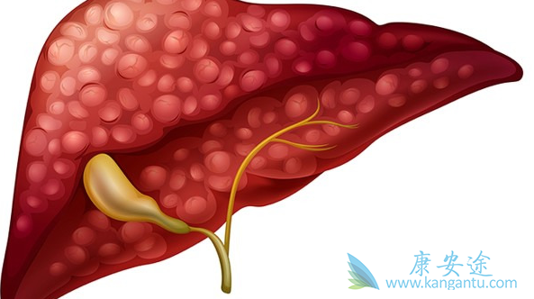 丙肝的危害 丙肝的危害