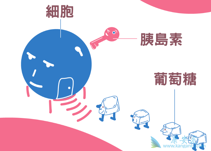 二型糖尿病 二型糖尿病