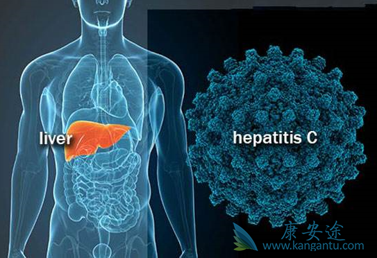 ���β���Я����