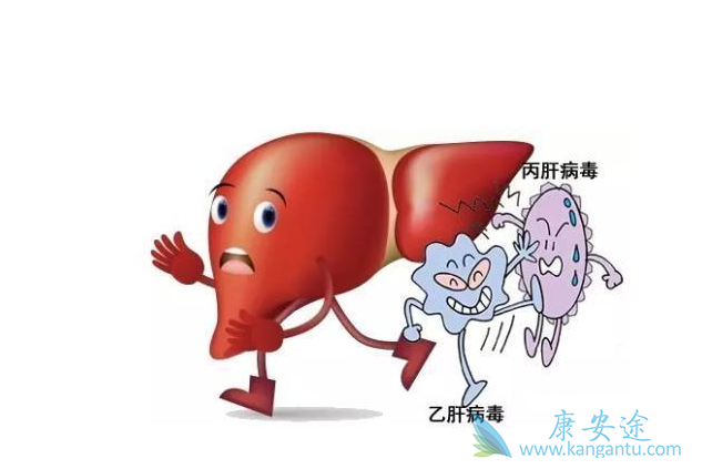 ���ο������ƺ���