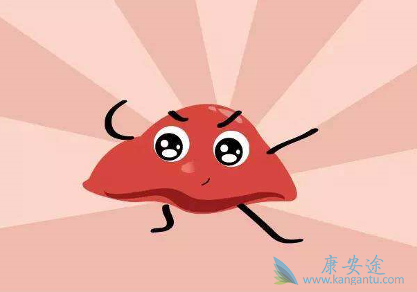 ���ο���������