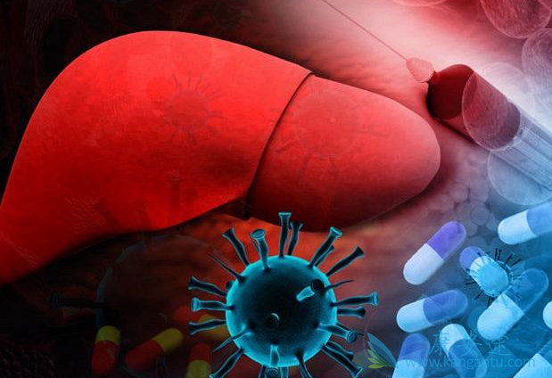 ������ô��