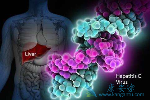 丙肝 丙肝