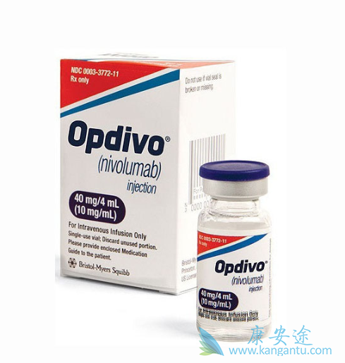 免疫检查点抑制剂 免疫检查点抑制剂
