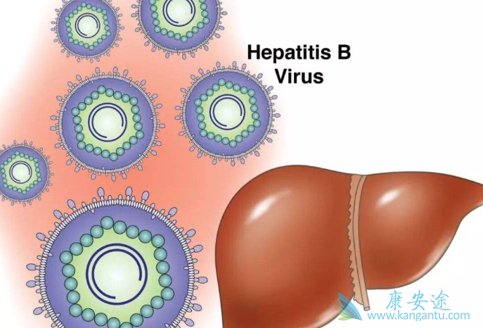 �Ҹ�dna���