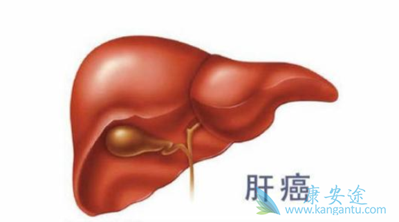 �Ҹ�dna���