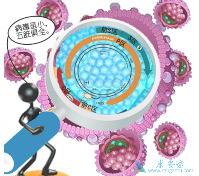 �Ҹ�����245����