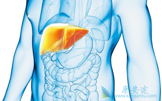 �Ҹ�������������