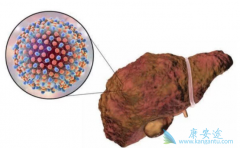 �Ҹ�ת���ʹ����Ҹ��κ�����