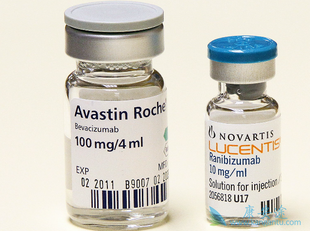 �����鵥��