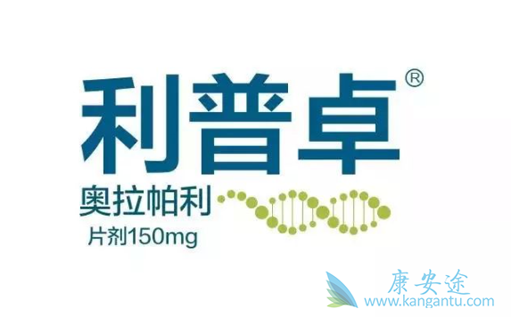 ��������Ч������