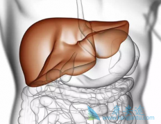 ʲô���Ҹ�������