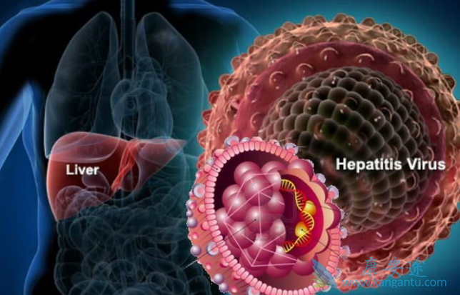 �Ҹα��濹������