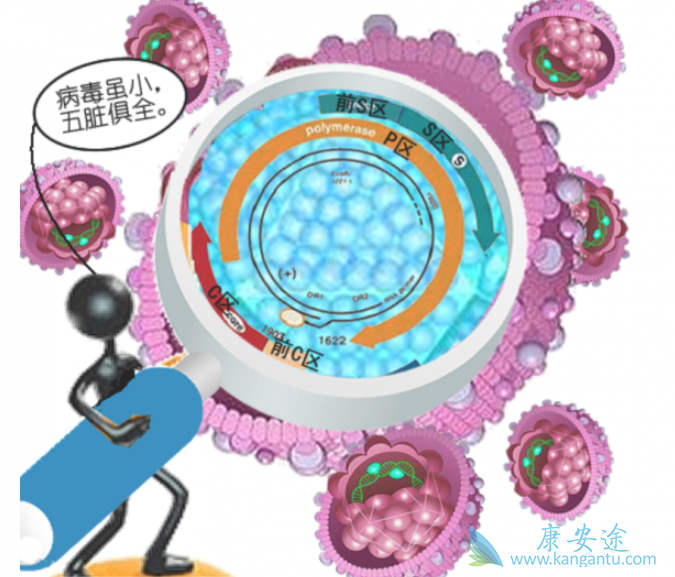 �Ҹβ���Я���߽��