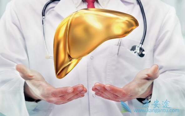 �Ҹ�������������