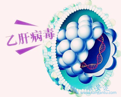 抗乙肝病毒 抗乙肝病毒