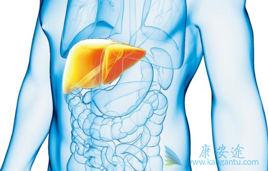 �Ҹ���ʲô��