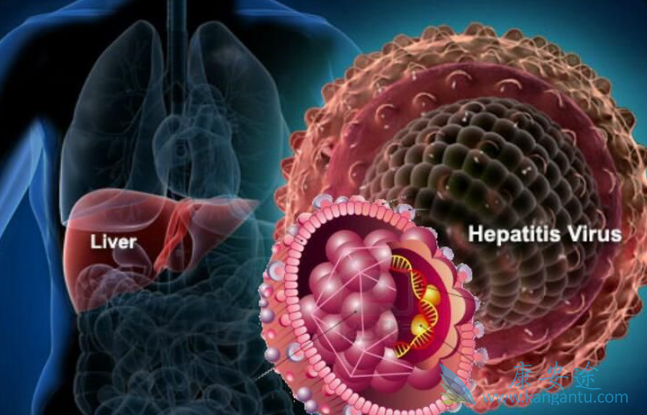 �Ҹ�Я���߽��