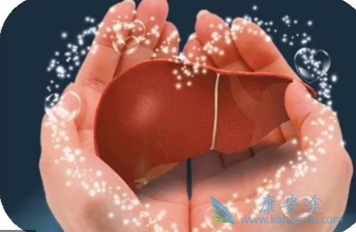 �Ҹο���������