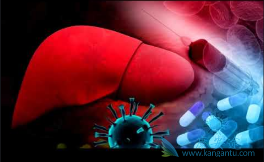 �Ҹο���������