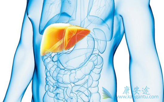 �Ҹκ��Ŀ��������