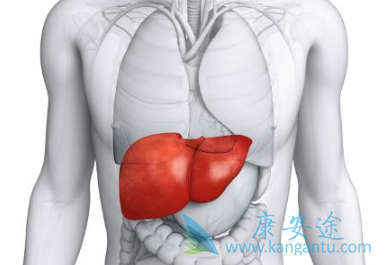 �Ҹδ��������κ���