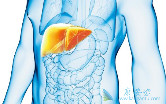 �Ҹβ���Я����