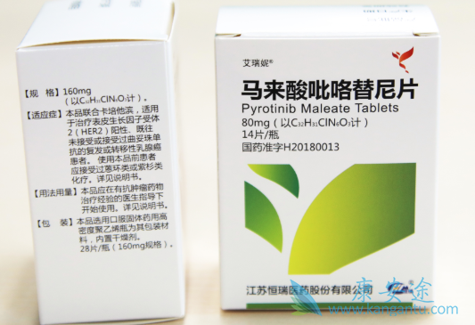 HER2����ת�������ٰ�