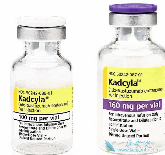 HER2�������ٰ�