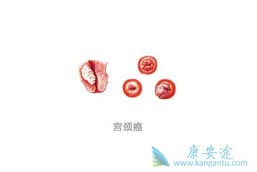 ������ԭ��