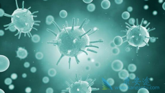 ��ɳ�������Ч����CAR-T����ʱ������ϸ�����ӷ籩