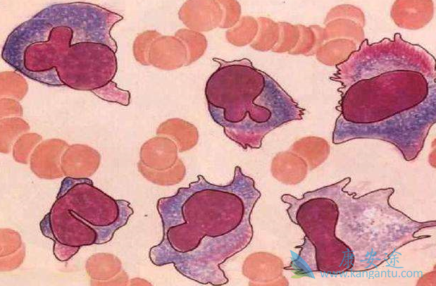 �෢�Թ�����������